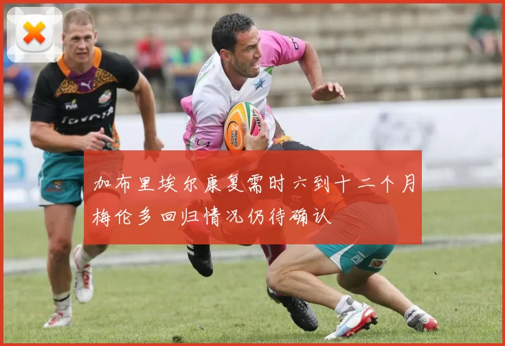 加布里埃尔康复需时六到十二个月梅伦多回归情况仍待确认