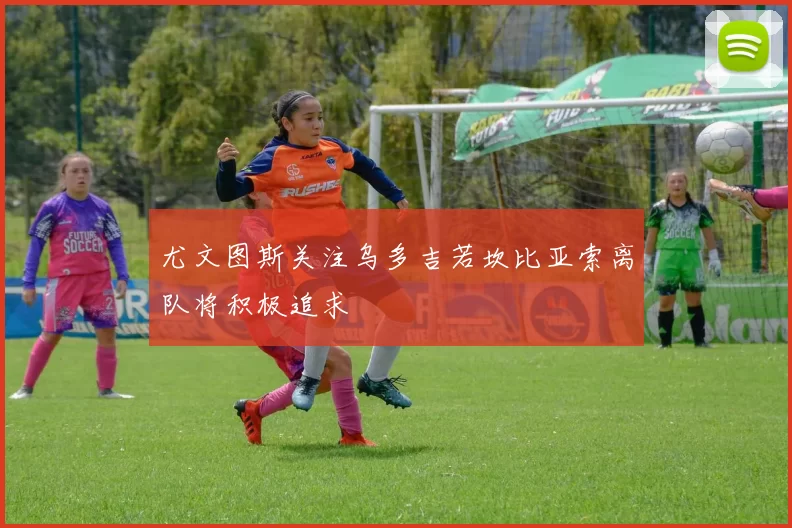 尤文图斯关注乌多吉若坎比亚索离队将积极追求